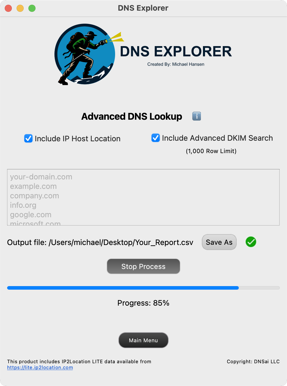 Advanced DNS Lookup form view 2