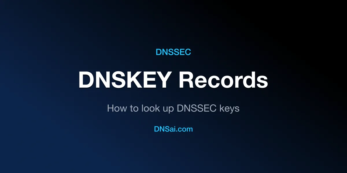 DNSKEY Records — How to Look Up DNSSEC Keys | DNSai