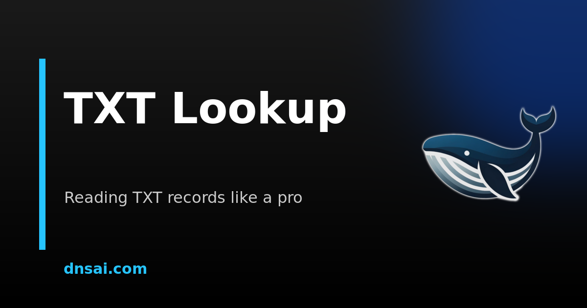 TXT Records — What They Are and How to Look Them Up | DNSai