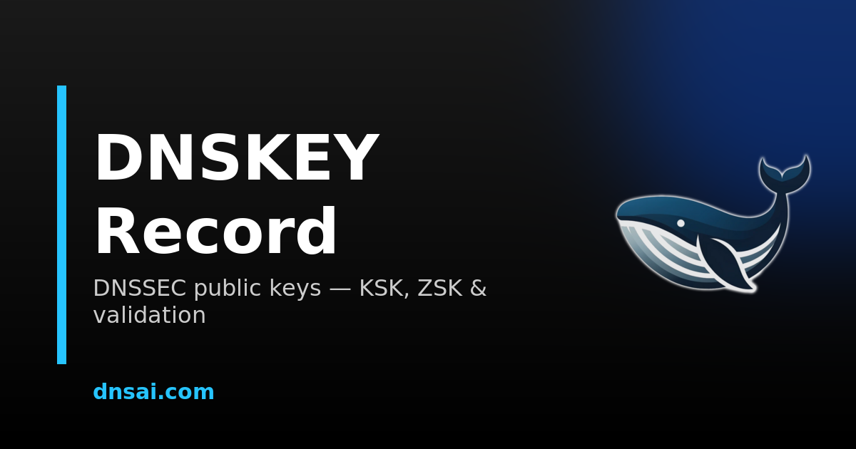 DNSKEY Record — DNSSEC Public Keys (KSK & ZSK) | DNSai