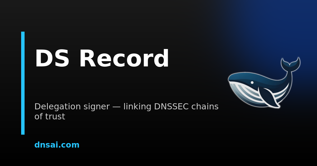 DS Record — What Is a DS Record and How Does It Work? | DNSai