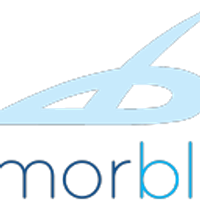 ArmorBlue logo