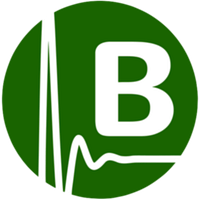 BERTEN logo