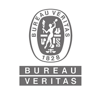 Bureau Veritas Cybersecurity logo