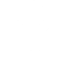 Gecko Security logo