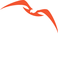 Nisos logo