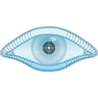 Nmap Project logo