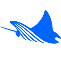 Ray Security logo