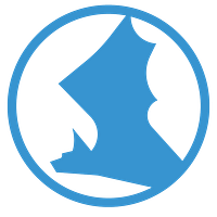 Spyderbat logo